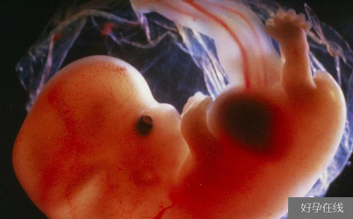 胚胎移植后出血常见原因