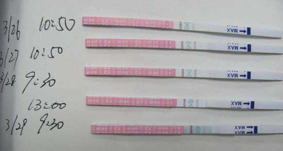 排卵验孕纸什么时候测最好是