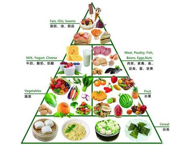 饮食均衡，合理饮食