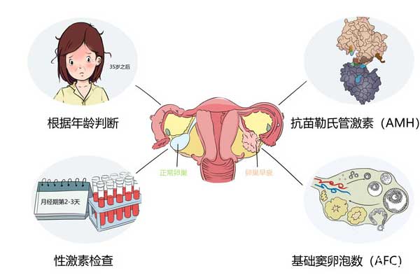 如何判断卵巢功能好坏