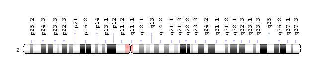 2号染色体图表