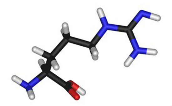 什么是精氨酸