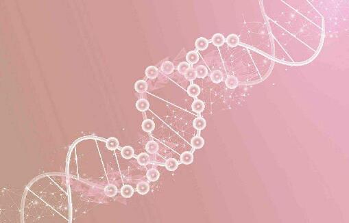 泰国试管婴儿的胚胎染色体筛查报告怎么看
