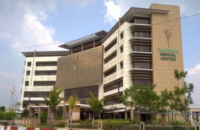 石家庄马来西亚丽阳助孕中心2003~2014年试管婴儿成功率对比