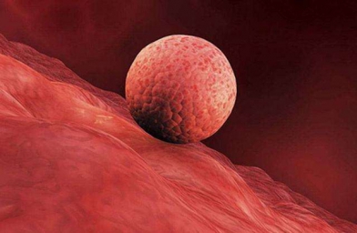 石家庄女性子宫内膜薄，干细胞治疗怎么样？