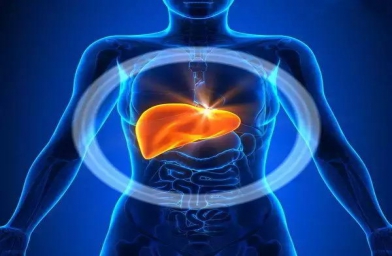 石家庄干细胞治疗肝硬化及生活饮食